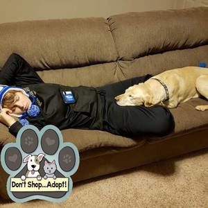 Meet your Posher, Haley